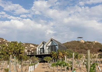 Oeno Wine Lodge hotel thumbnail 8