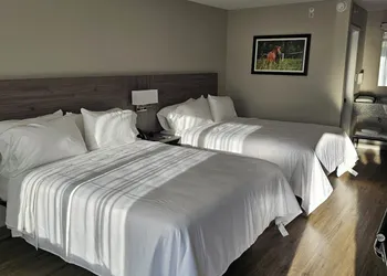 Quality Inn & Suites Ocala I-75 hotel thumbnail 4