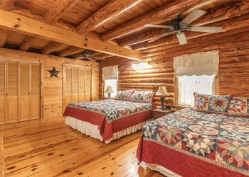 Dragonfly Meadows Log Cabin hotel thumbnail 2
