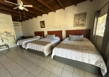 Hotel Villa Vitta hotel thumbnail 4