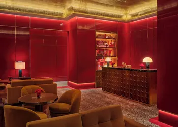 Faena New York hotel thumbnail 6