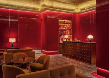 Faena New York hotel thumbnail 6