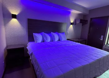 The Vine Hotel Bronx hotel thumbnail 3