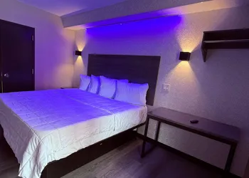 The Vine Hotel Bronx hotel thumbnail 4