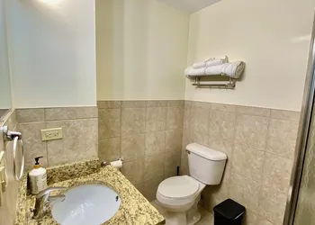 Historic Charm in Downtown Chicago hotel thumbnail 6