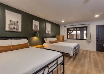 Timber Lodge hotel thumbnail 8