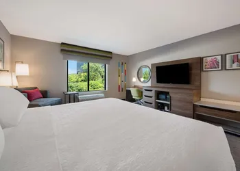 Hampton Inn Detroit Southfield hotel thumbnail 8