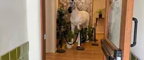 Hotel thumbnail 2