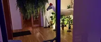 Hotel thumbnail 4