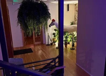 Unicorn Zebra hotel thumbnail 4