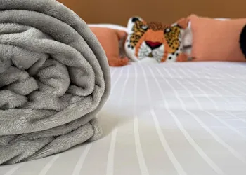Unicorn Zebra hotel thumbnail 7