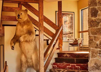 Wandering Buffalo hotel thumbnail 3