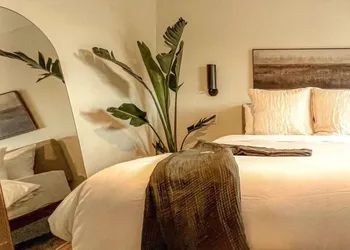 Terra Palm Springs hotel thumbnail 4