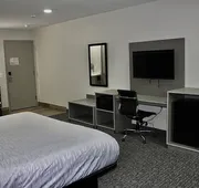 Hummingbird Hotel hotel detail image 7