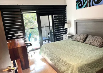 Ipana Dream Downtown Playa del Carmen hotel thumbnail 7
