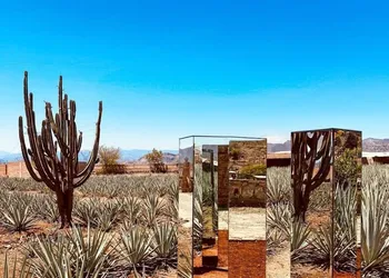Hotel Monte Agave hotel thumbnail 8