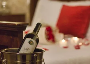 Los Viñedos Gran Hotel hotel thumbnail 4