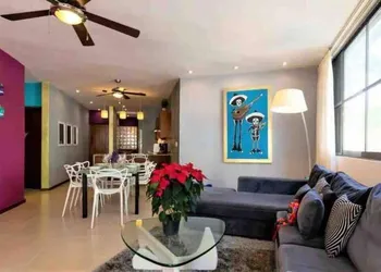Nolita by Zamá Homes hotel thumbnail 8