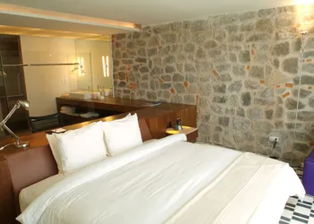 La Purificadora, Puebla, a Member of Design Hotels hotel thumbnail 8