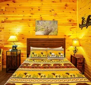 Bigfoot Lodge Room Three hotel detail image 4