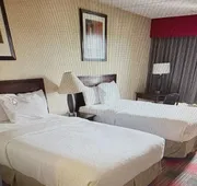 Albany Plaza Hotel hotel detail image 3