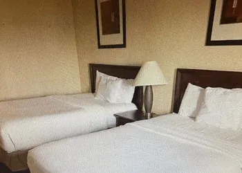 Albany Plaza Hotel hotel thumbnail 6