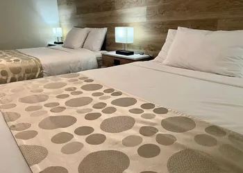 Mokai Inn hotel thumbnail 3