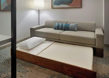 Springhill Suites By Marriott Locust Grove hotel thumbnail 3