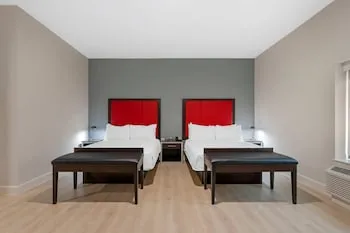 The J Hotel Dunedin near Honeymoon Island State Park, an Ascend Collection Hotel hotel thumbnail 6