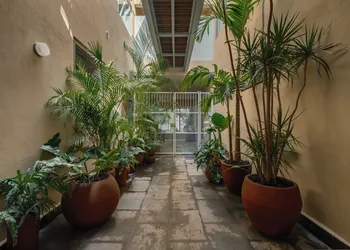 Cholula Condesa Hotel by Lumina hotel thumbnail 2