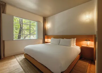 Cholula Condesa Hotel by Lumina hotel thumbnail 8