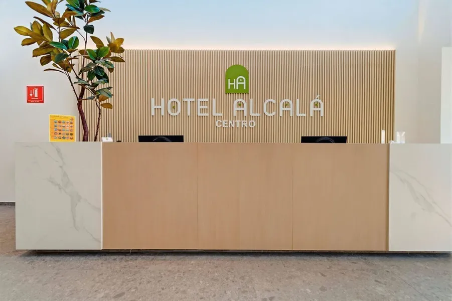 Hotel Alcalà Centro hotel detail image 6