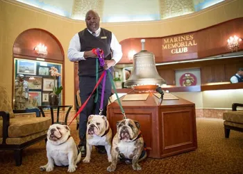 Marines Memorial Club & Hotel hotel thumbnail 4