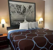 Hotel Piney Woods hotel detail image 7