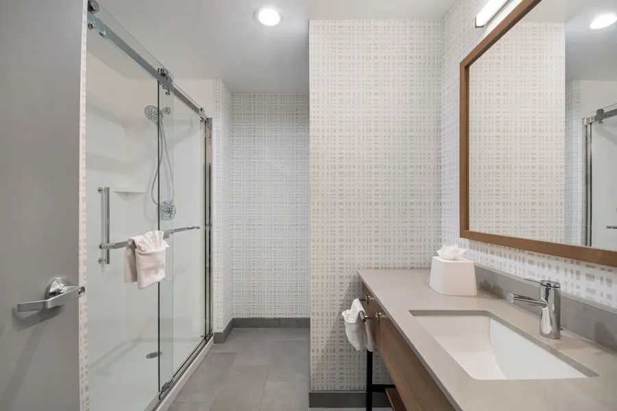 Hampton Inn & Suites By Hilton Irving DFW Airport North hotel detail image 6