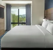 Residence Inn By Marriott Birmingham Grandview hotel detail image 7