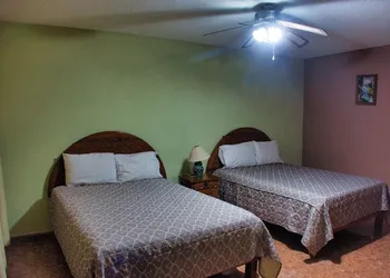 Hotel Mesón del Bosque hotel thumbnail 8