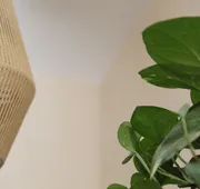 Calea Tulum Boutique Hotel hotel detail image 7