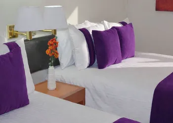 Hotel Lois Express Monterrey Aeropuerto La Fe hotel thumbnail 8