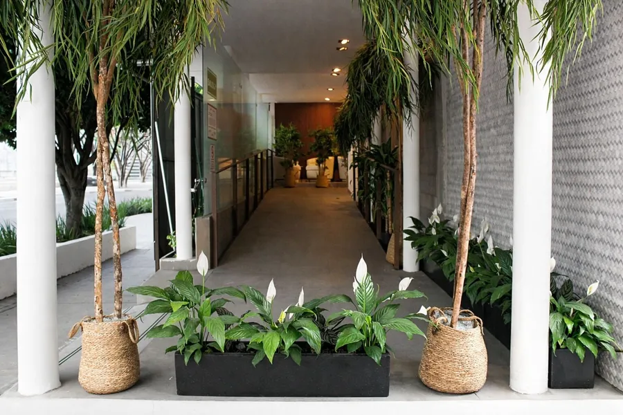 Hotel Olimpica Boutique hotel detail image 2